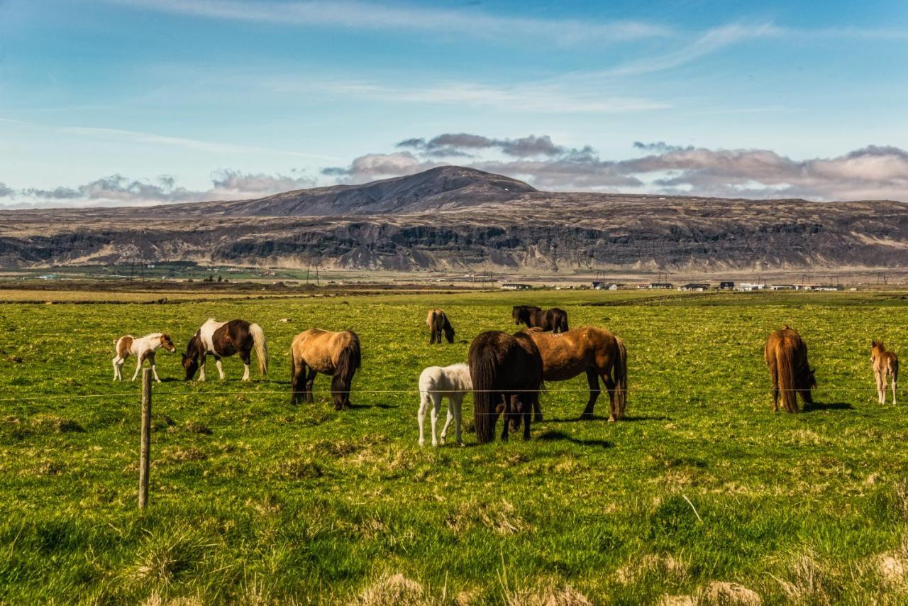 Reykjadalur Guesthouse Гвераґерді Екстер'єр фото